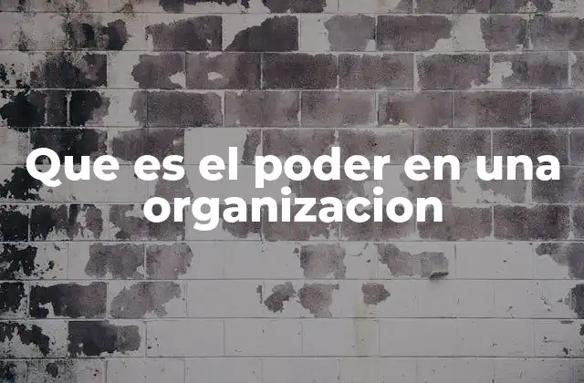 Que es el Poder en una Organizacion