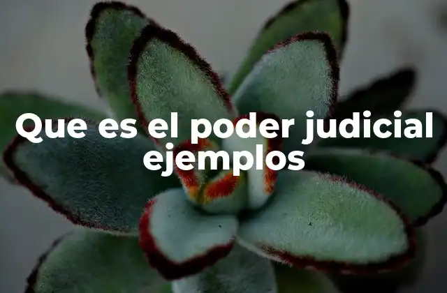 Que es el Poder Judicial Ejemplos