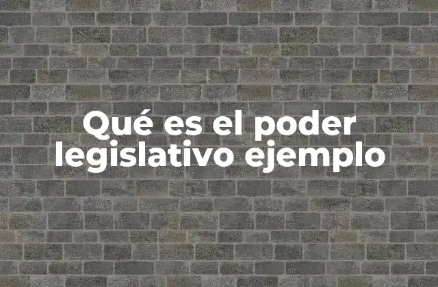 Qué es el Poder Legislativo Ejemplo