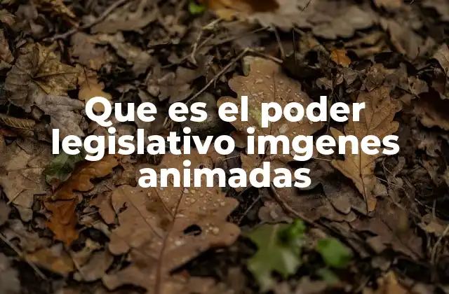 La representación visual del poder legislativo