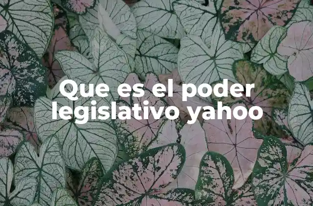 Que es el Poder Legislativo Yahoo 2 La importancia del poder legislativo en la democracia