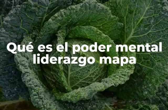 Cómo el liderazgo visualiza el camino