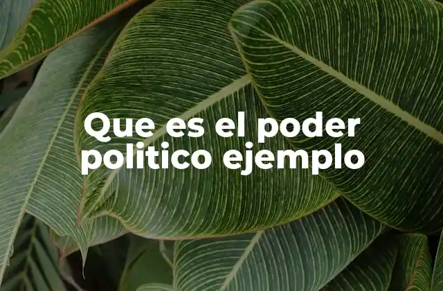 Que es el Poder Politico Ejemplo