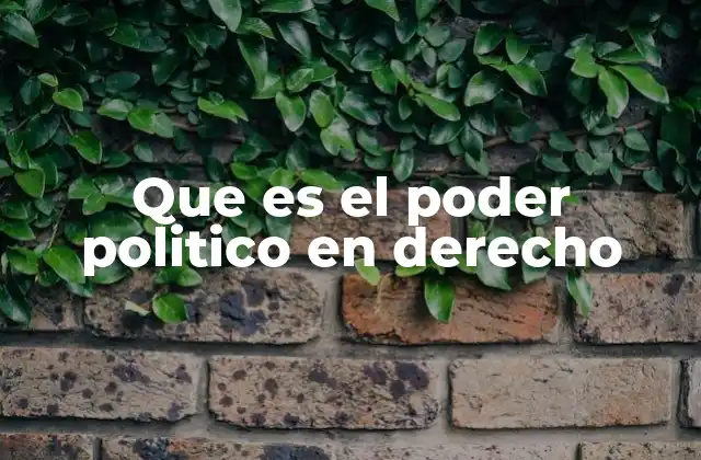 Que es el Poder Politico en Derecho 2 El poder político como eje central del Estado