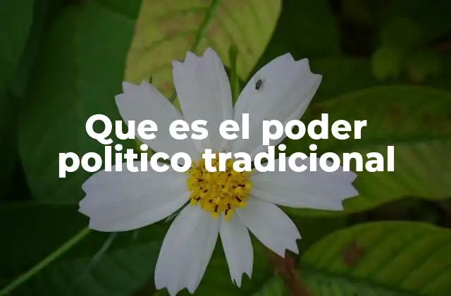Que es el Poder Politico Tradicional