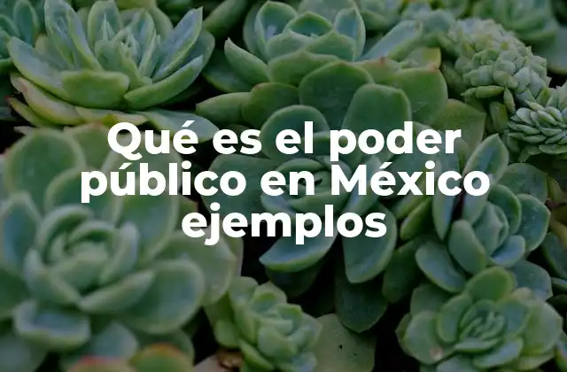 Qué es el Poder Público en México Ejemplos
