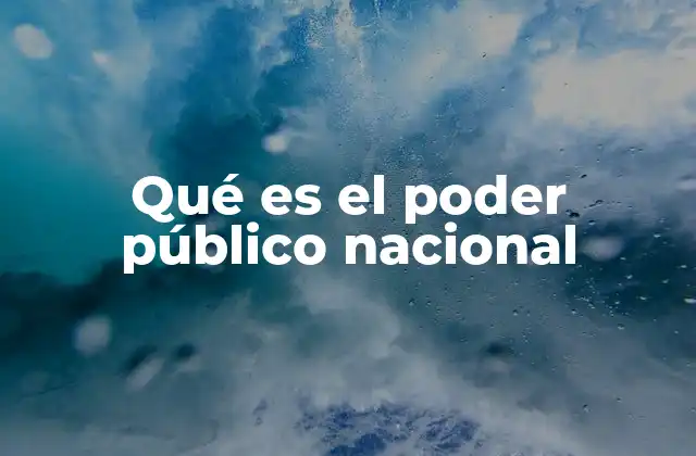 Qué es el Poder Público Nacional 2 La importancia de la organización del poder en el Estado