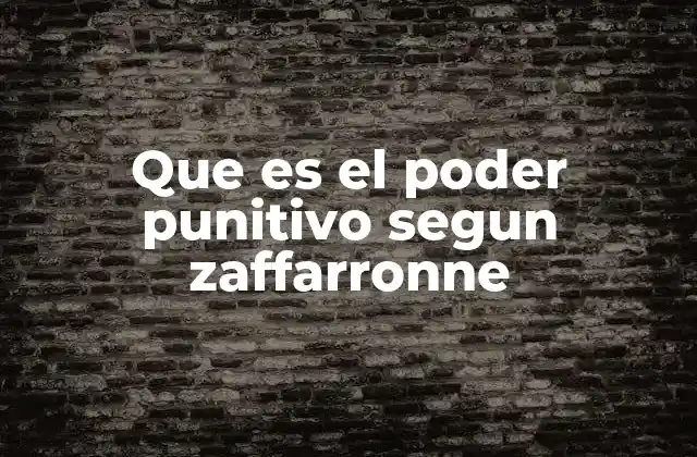 Que es el Poder Punitivo Segun Zaffarronne