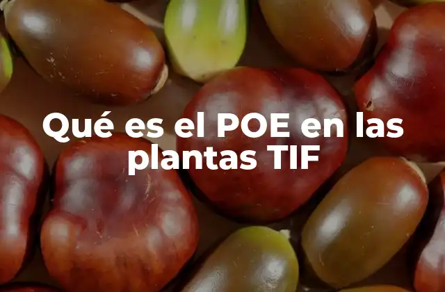 Qué es el Poe en las Plantas Tif