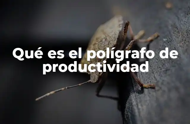 Qué es el Polígrafo de Productividad