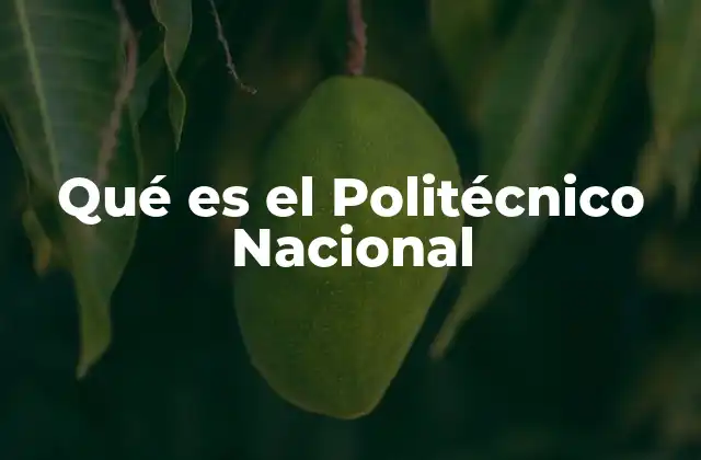 El papel del Politécnico Nacional en la educación superior de México