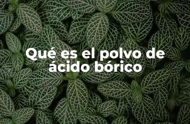 Características y propiedades del polvo de ácido bórico
