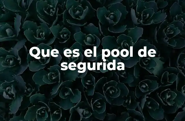 Que es el Pool de Segurida