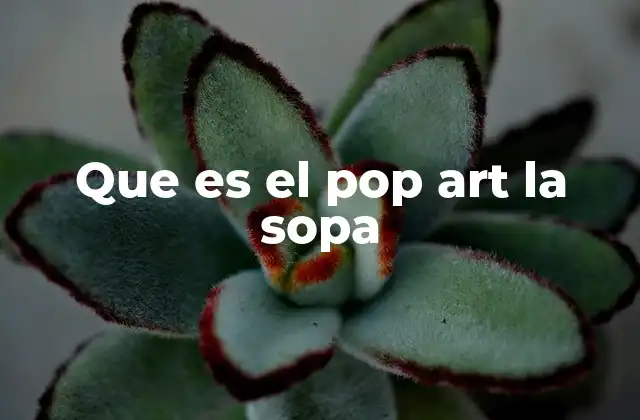 Que es el Pop Art la Sopa