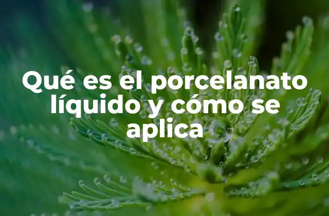 Qué es el Porcelanato Líquido y Cómo Se Aplica