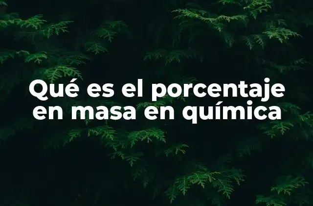 Qué es el Porcentaje en Masa en Química