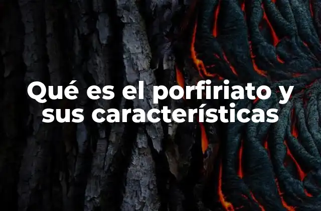 Qué es el Porfiriato y Sus Características