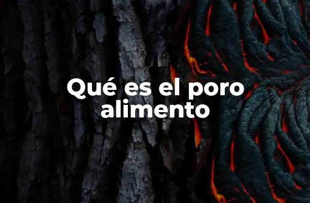 Qué es el Poro Alimento
