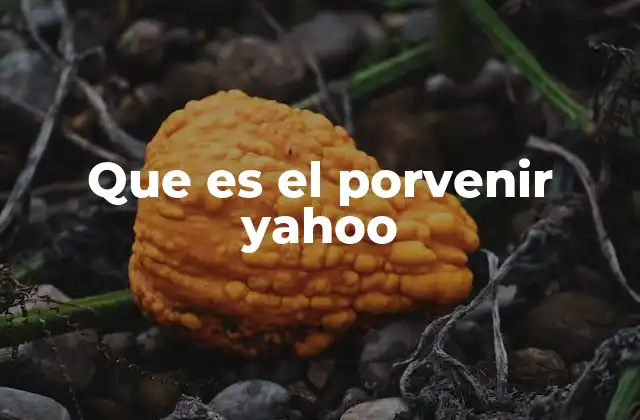 Que es el Porvenir Yahoo