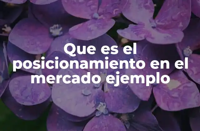 Que es el Posicionamiento en el Mercado Ejemplo