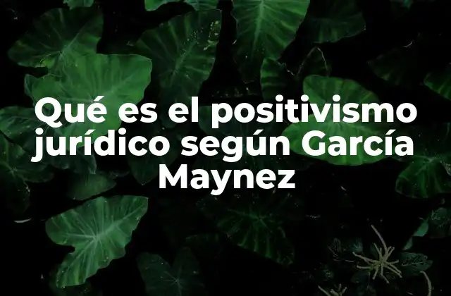 El positivismo jurídico en el marco del derecho positivo