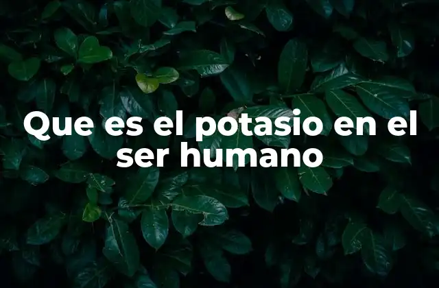 Que es el Potasio en el Ser Humano