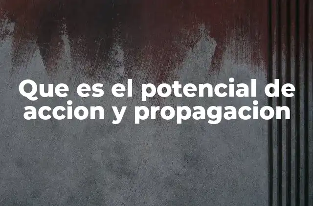 Que es el Potencial de Accion y Propagacion