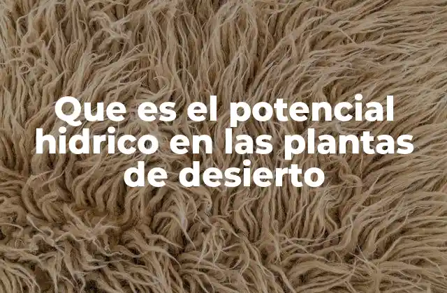 Que es el Potencial Hidrico en las Plantas de Desierto