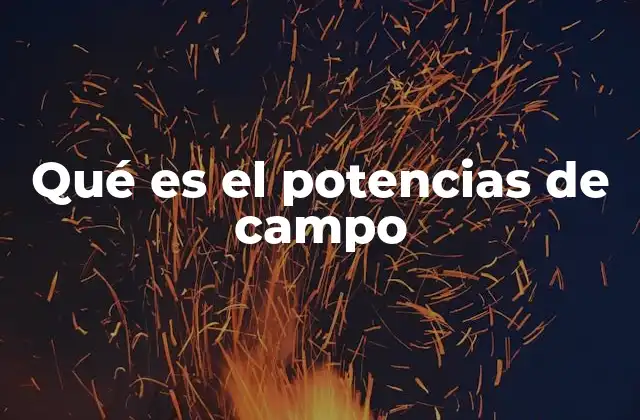 Qué es el Potencias de Campo