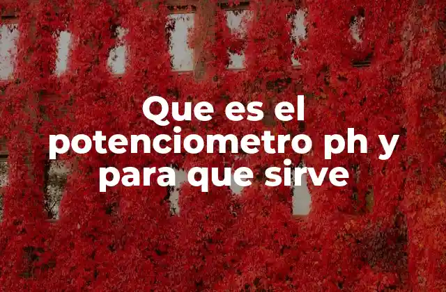 Que es el Potenciometro Ph y para que Sirve
