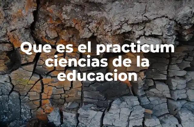Que es el Practicum Ciencias de la Educacion