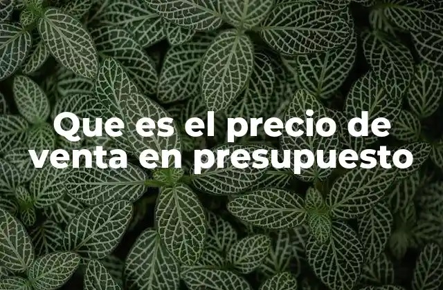 Que es el Precio de Venta en Presupuesto