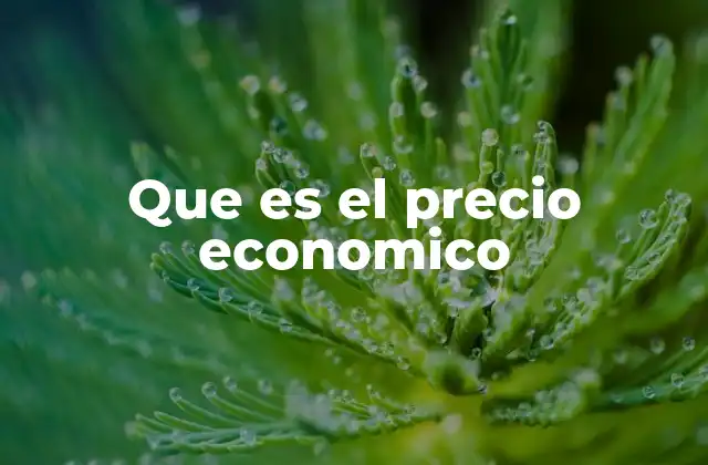 Que es el Precio Economico