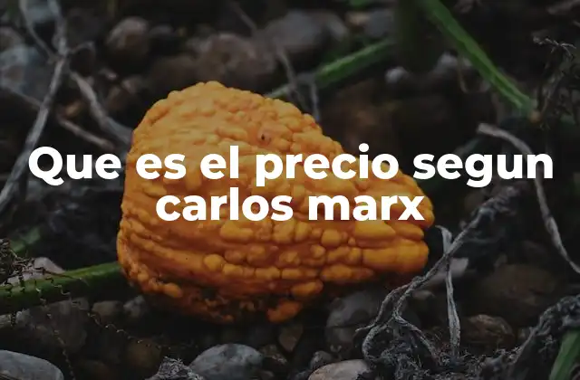Que es el Precio Segun Carlos Marx