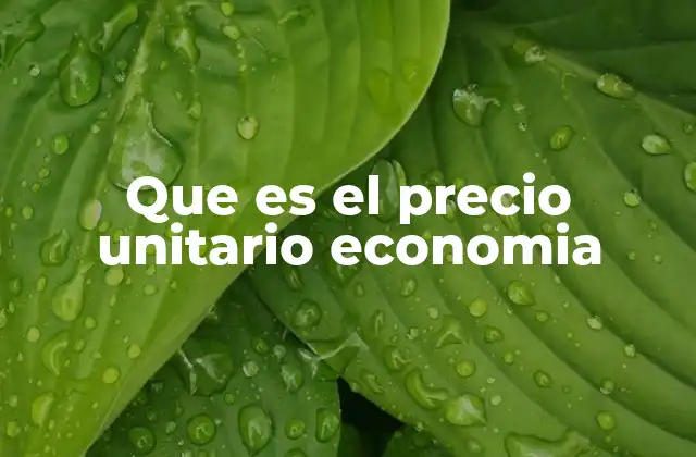 Que es el Precio Unitario Economia