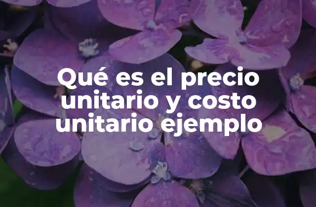 Qué es el Precio Unitario y Costo Unitario Ejemplo
