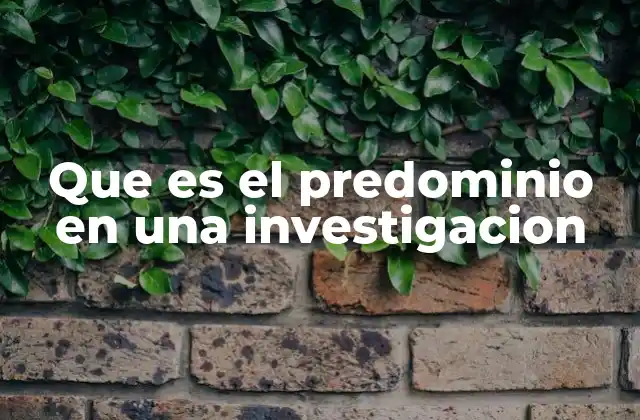 Que es el Predominio en una Investigacion