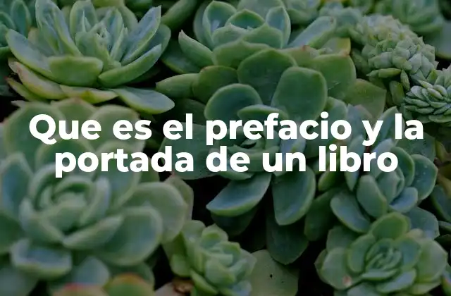 Que es el Prefacio y la Portada de un Libro