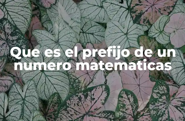 Que es el Prefijo de un Numero Matematicas