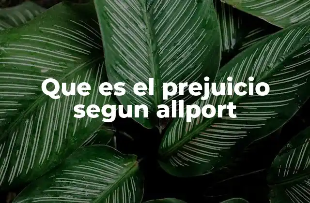 Que es el Prejuicio Segun Allport