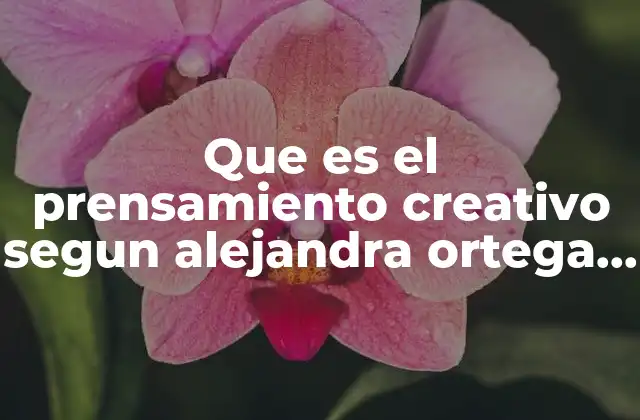 Que es el Prensamiento Creativo Segun Alejandra Ortega Legaspi