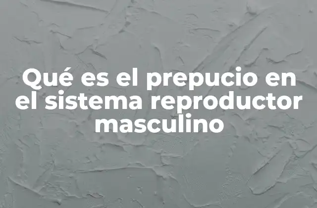 Qué es el Prepucio en el Sistema Reproductor Masculino