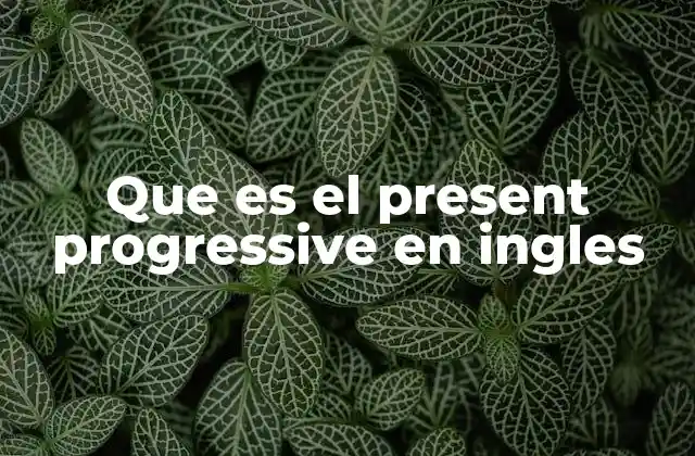 Que es el Present Progressive en Ingles 2 El tiempo verbal que describe acciones en progreso