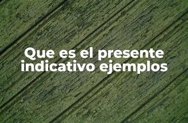 Que es el Presente Indicativo Ejemplos