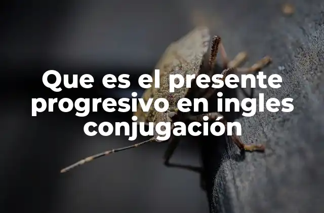Que es el Presente Progresivo en Ingles Conjugación