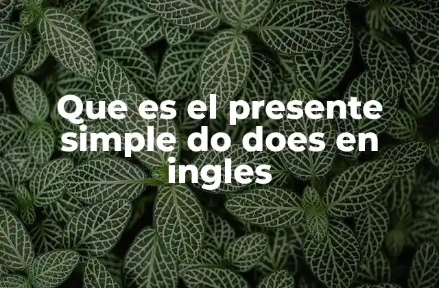 Que es el Presente Simple Do Does en Ingles
