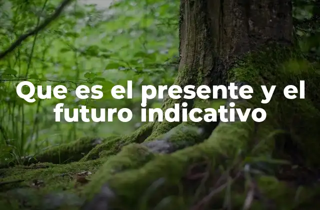 Que es el Presente y el Futuro Indicativo