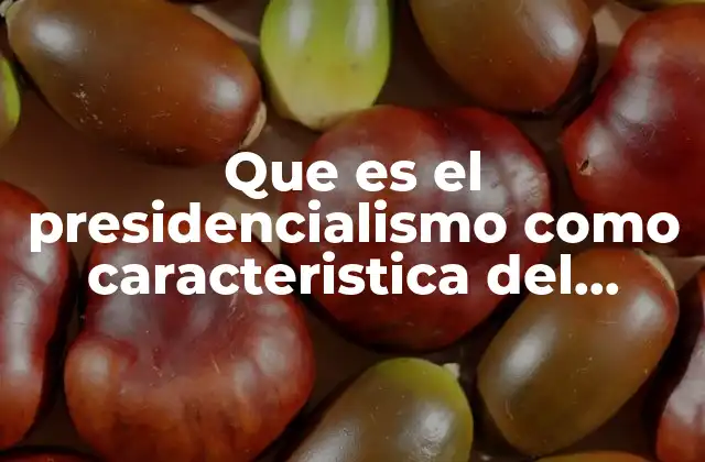 Que es el Presidencialismo como Caracteristica Del Sistema Politico Mexicano