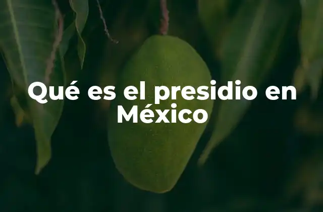 Qué es el Presidio en México