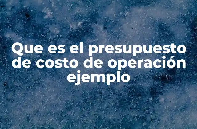 Que es el Presupuesto de Costo de Operación Ejemplo
